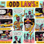 weird laws zimbabwe